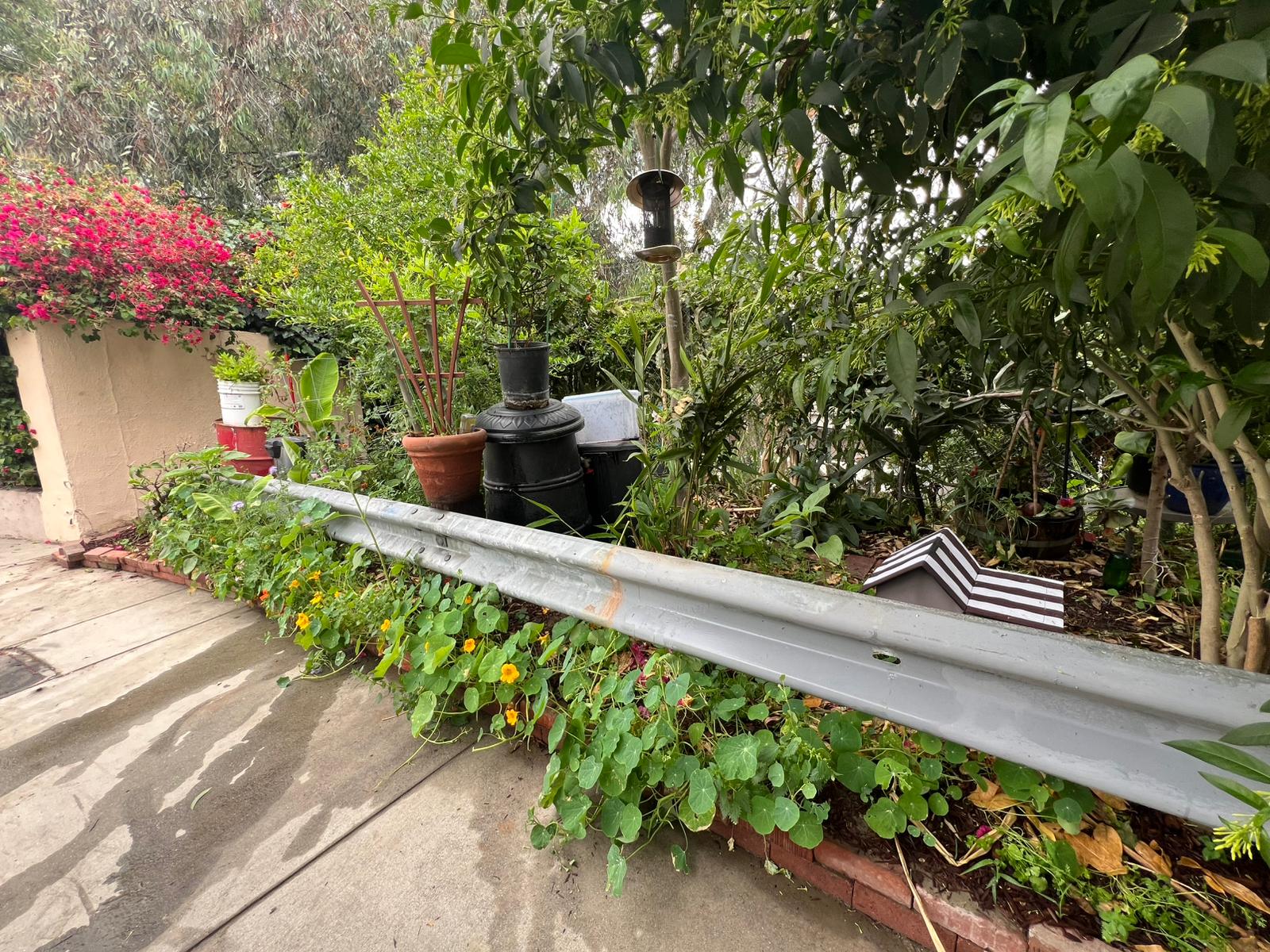 Garden after transformation