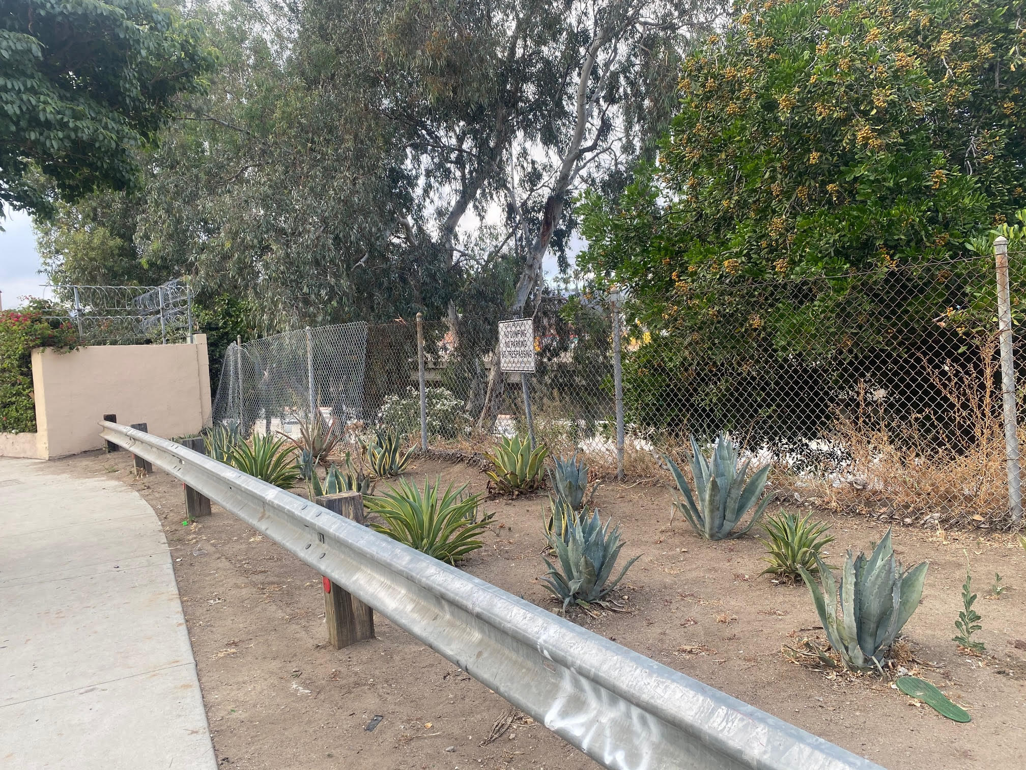 Garden before transformation