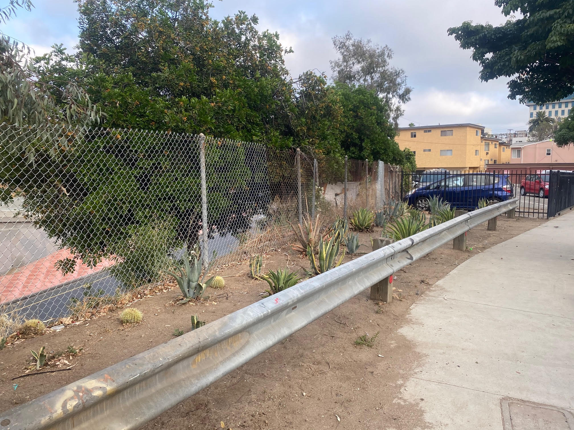 Garden before transformation